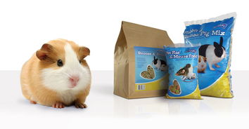 pet team 宠物食品包装设计